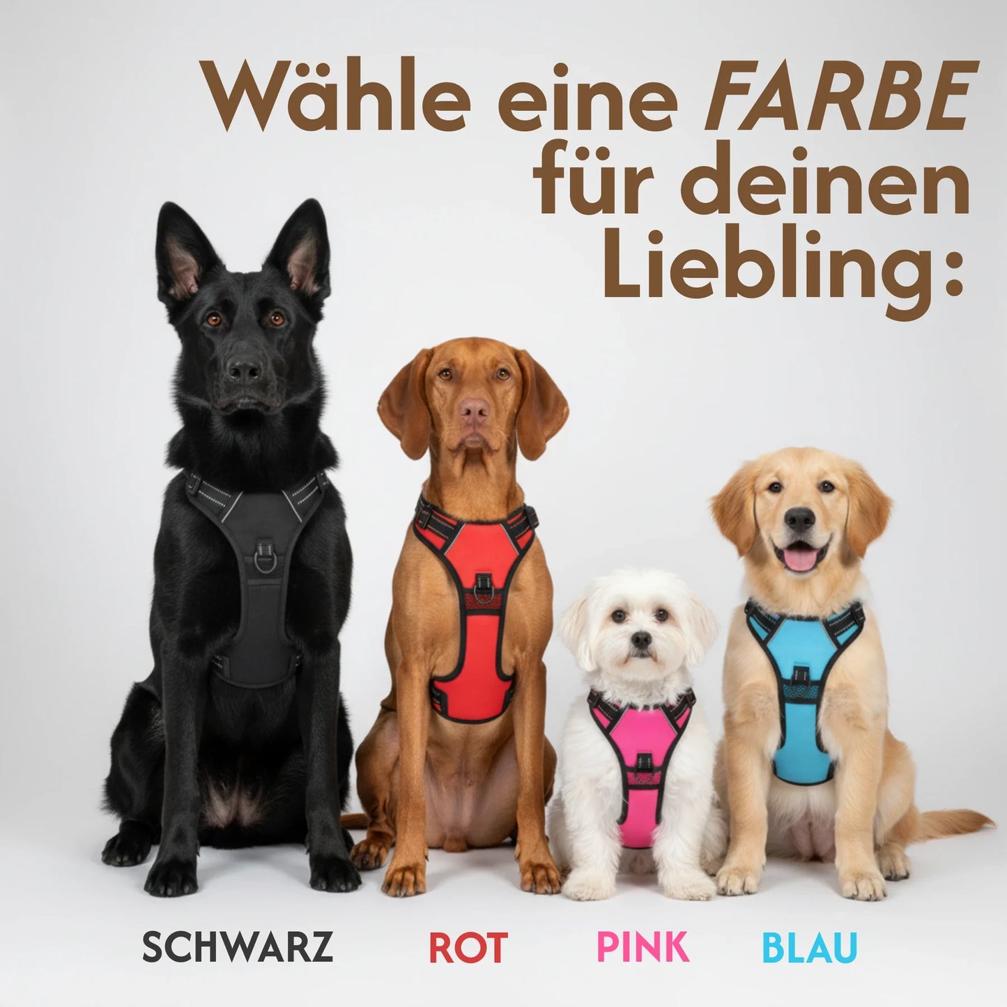 ZugFrei™ Anti-Zieh-Geschirr