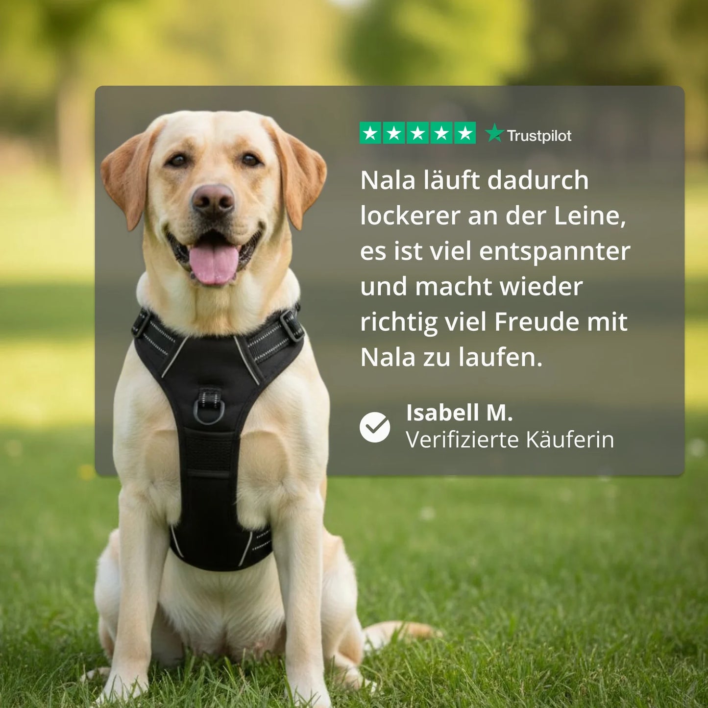 ZugFrei™ Anti-Zieh-Geschirr