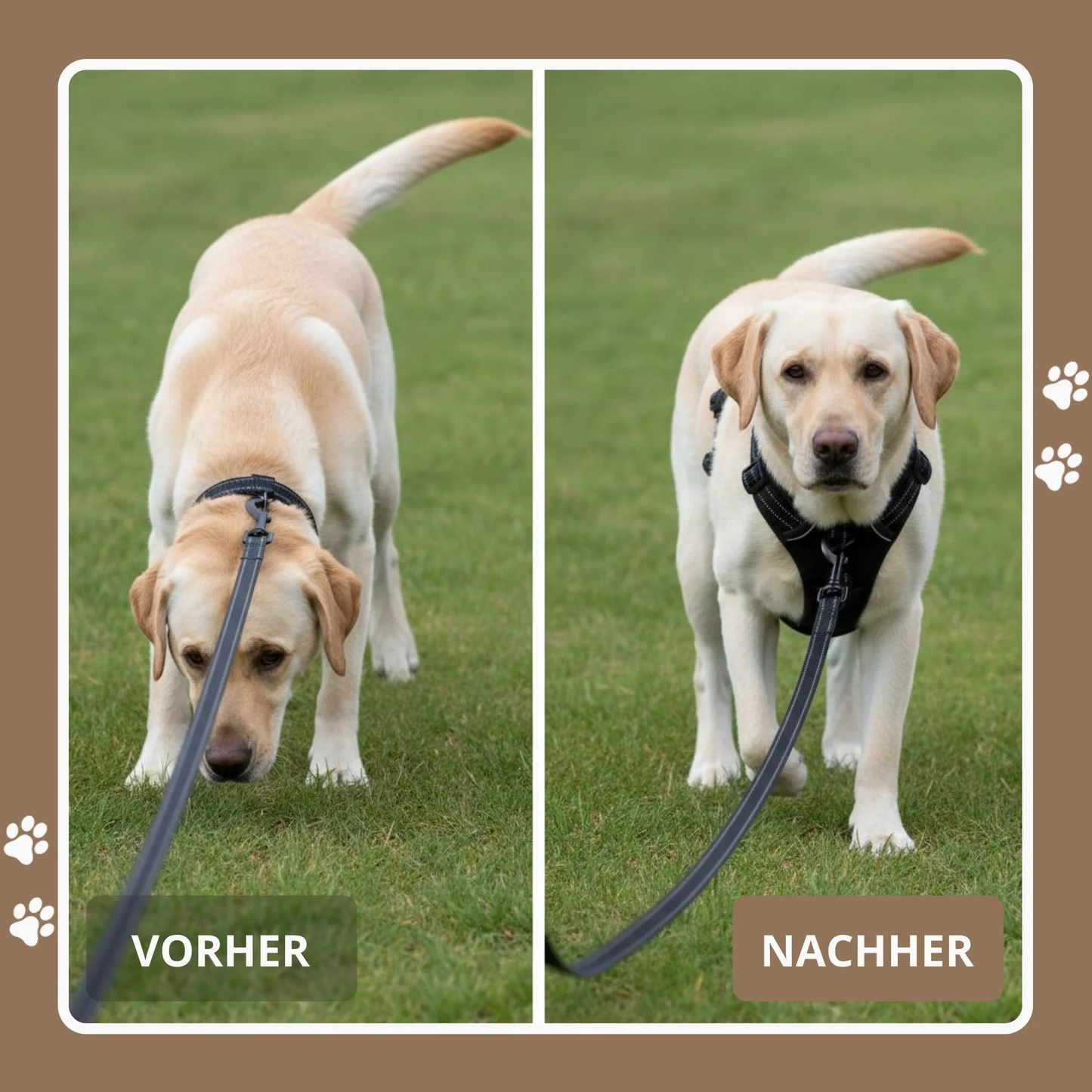 ZugFrei™ Anti-Zieh-Geschirr