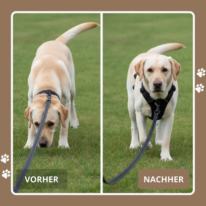 ZugFrei™ Anti-Zieh-Geschirr